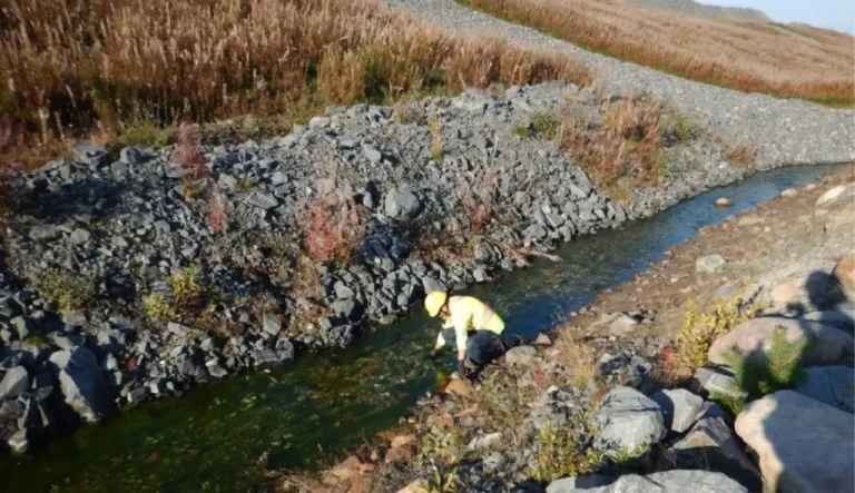 Okane Consultants mine closure water stewardship